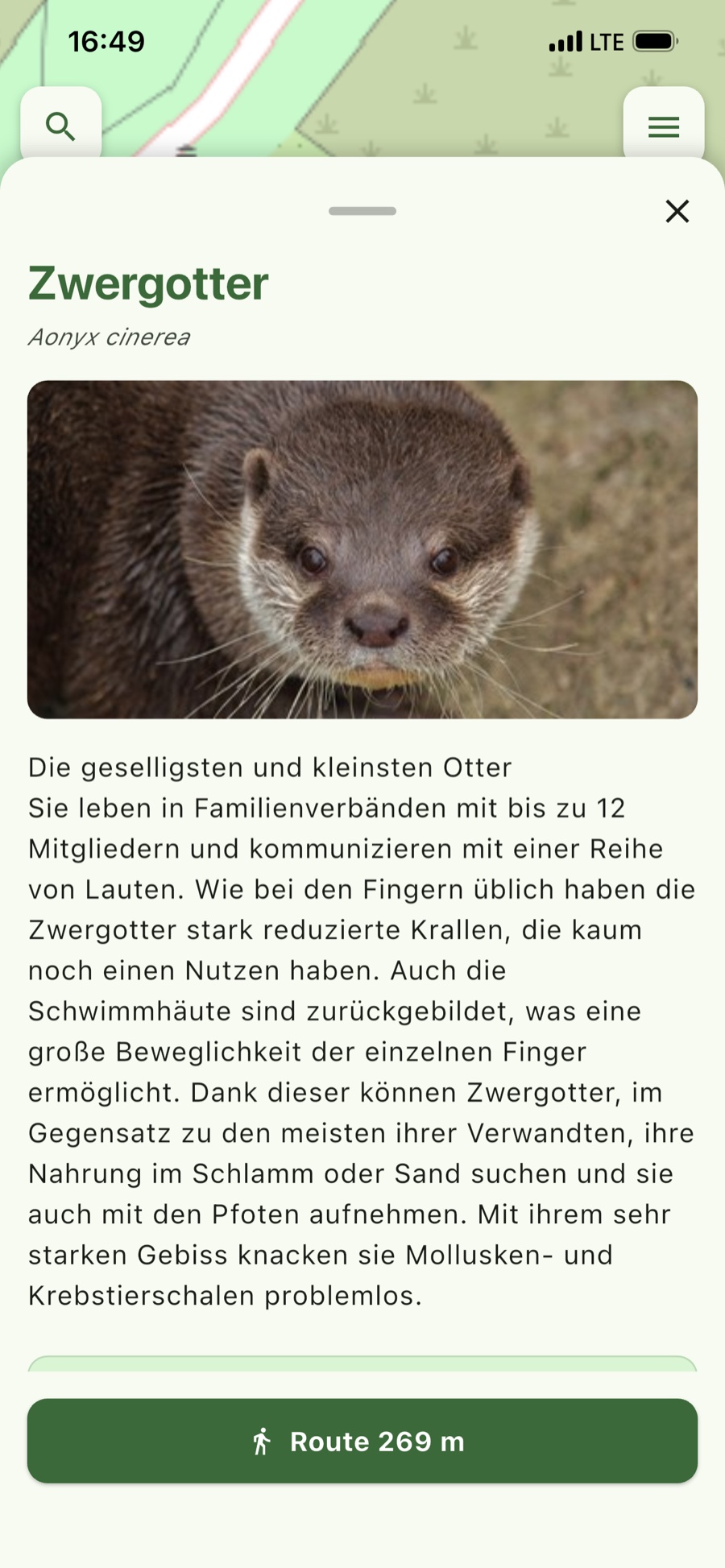 Tierporträt – Foto, Beschreibung und der Weg zum Gehege.