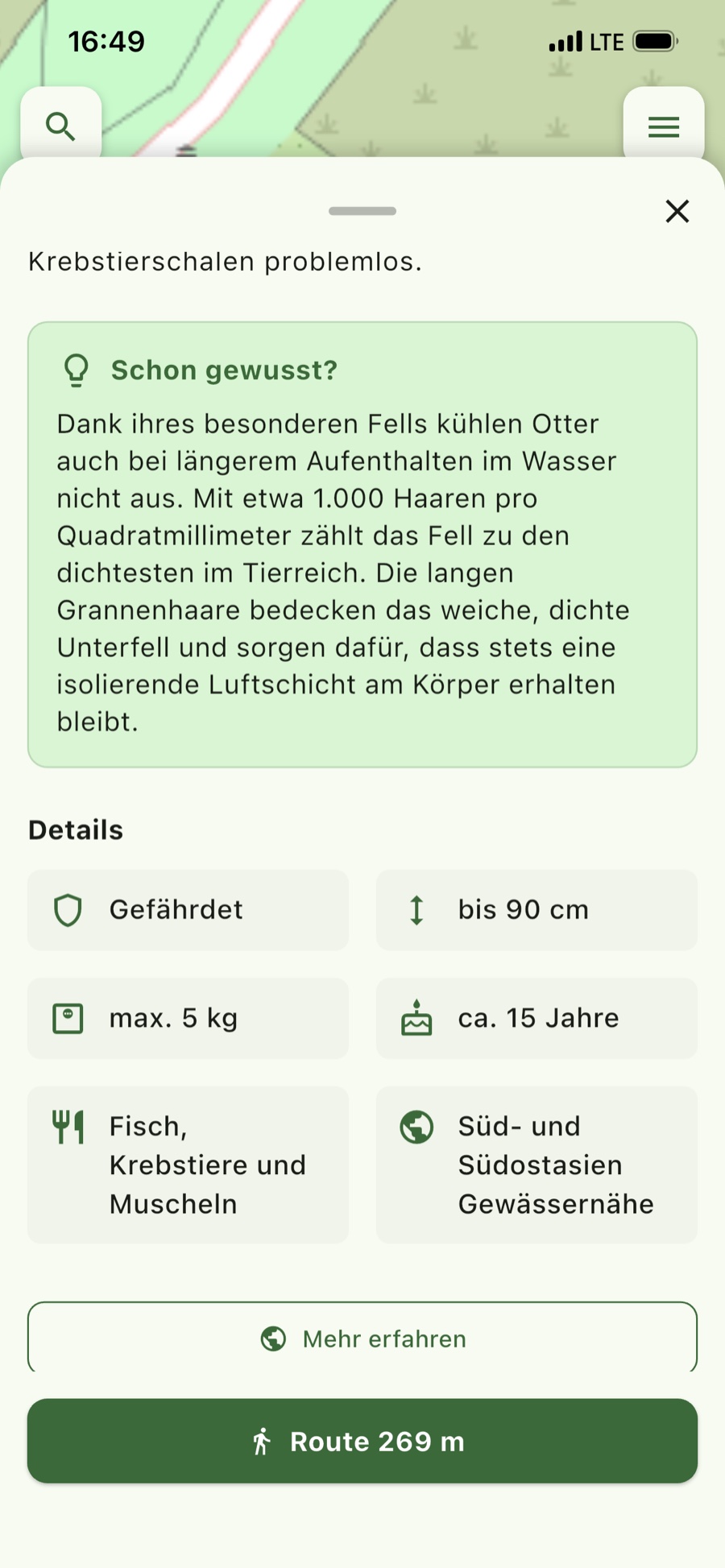 Steckbrief – Gefährdung, Größe, Alter, Futter und Herkunft.