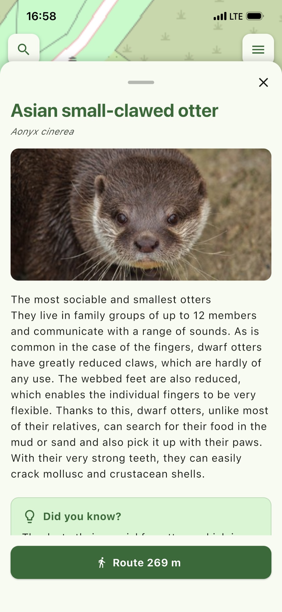 Animal profile – Photo, description and the way to the enclosure.