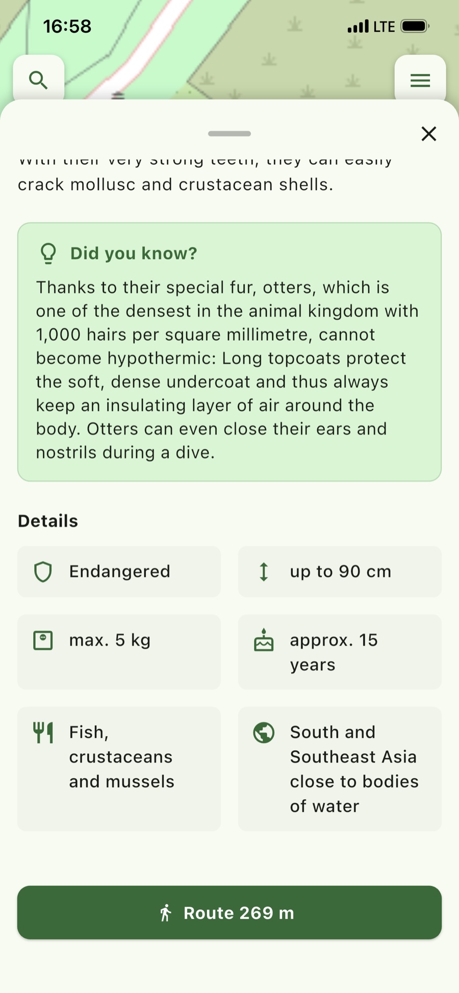 Key facts – Conservation status, size, age, diet and origin.