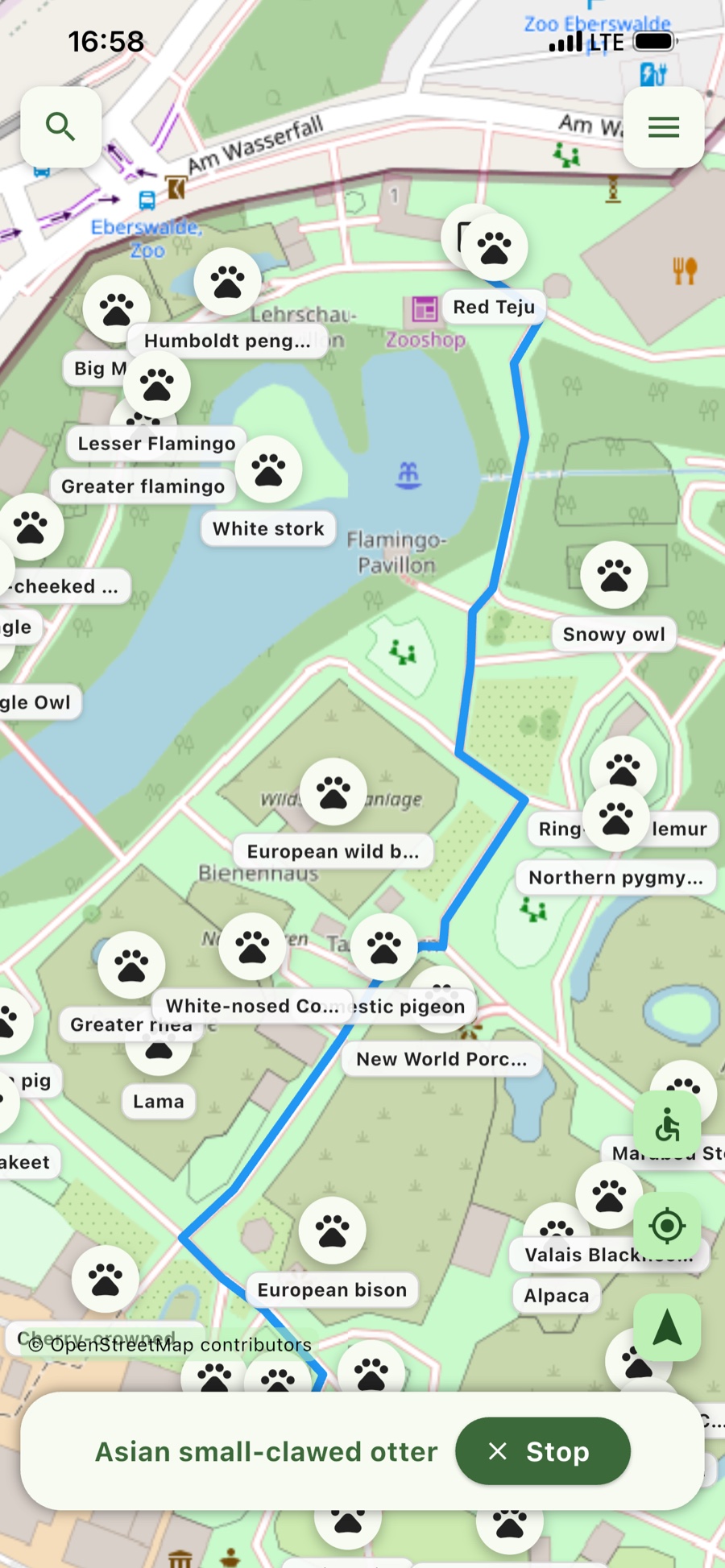 Directions – The route stays visible on the map.