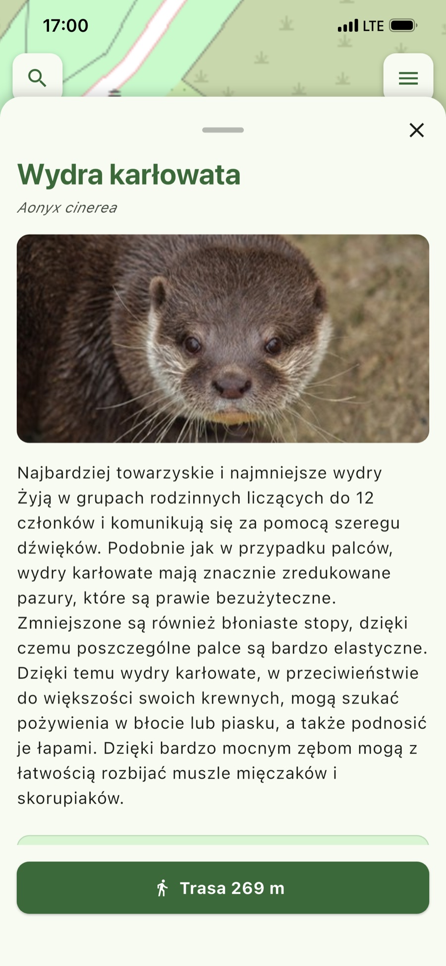 Portret zwierzęcia – Zdjęcie, opis i droga do wybiegu.
